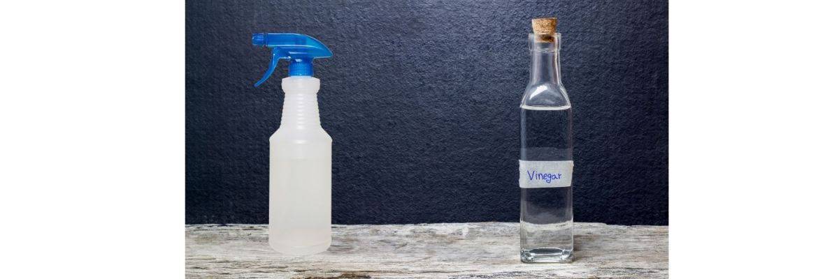 white vinegar and spray bottle