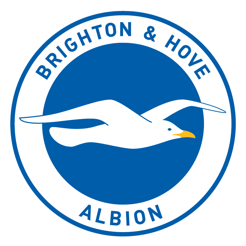 Brighton Hove Albion FC Player Salaries: In-depth Look