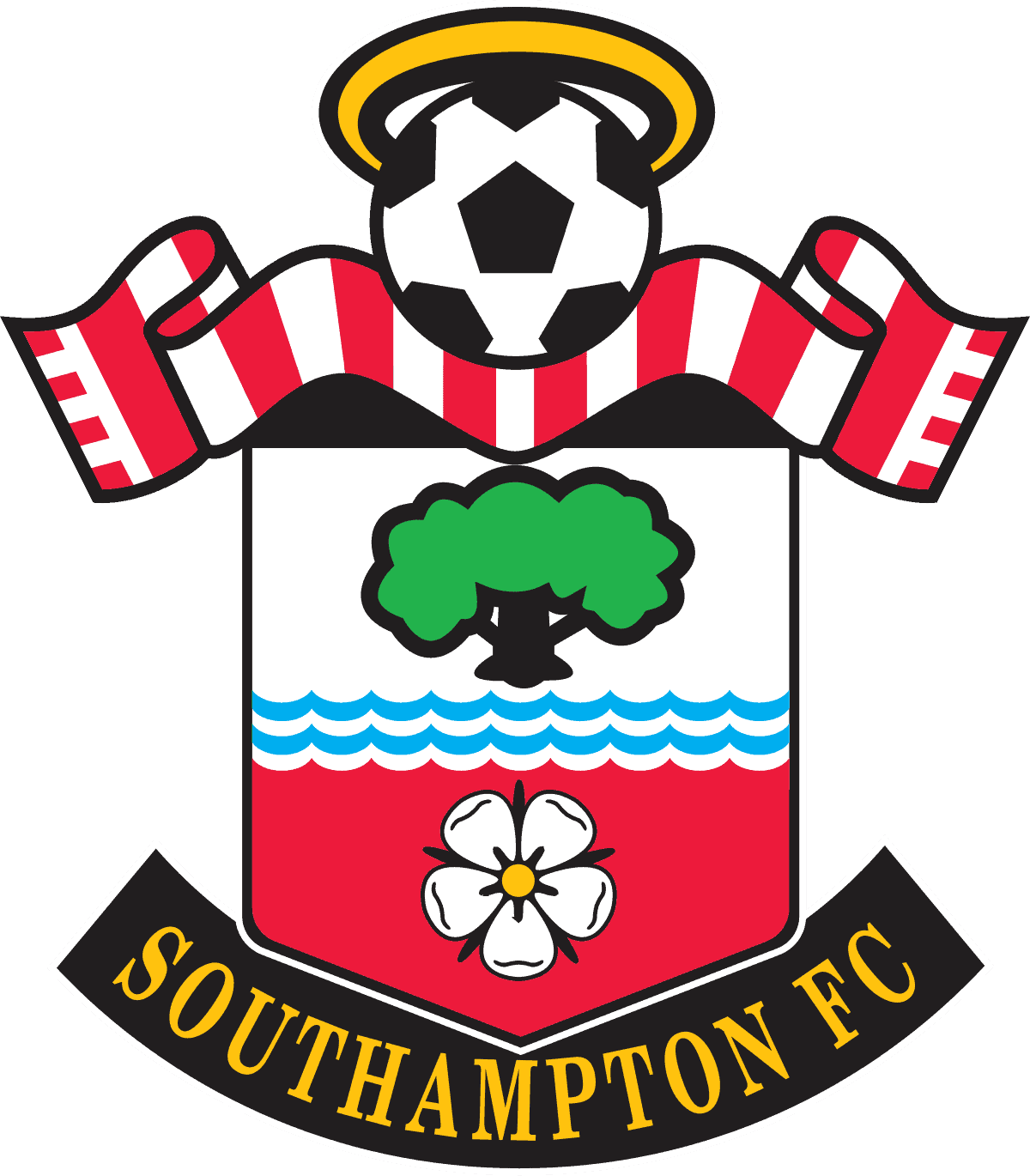 Southampton FC Player Salaries Unveiled