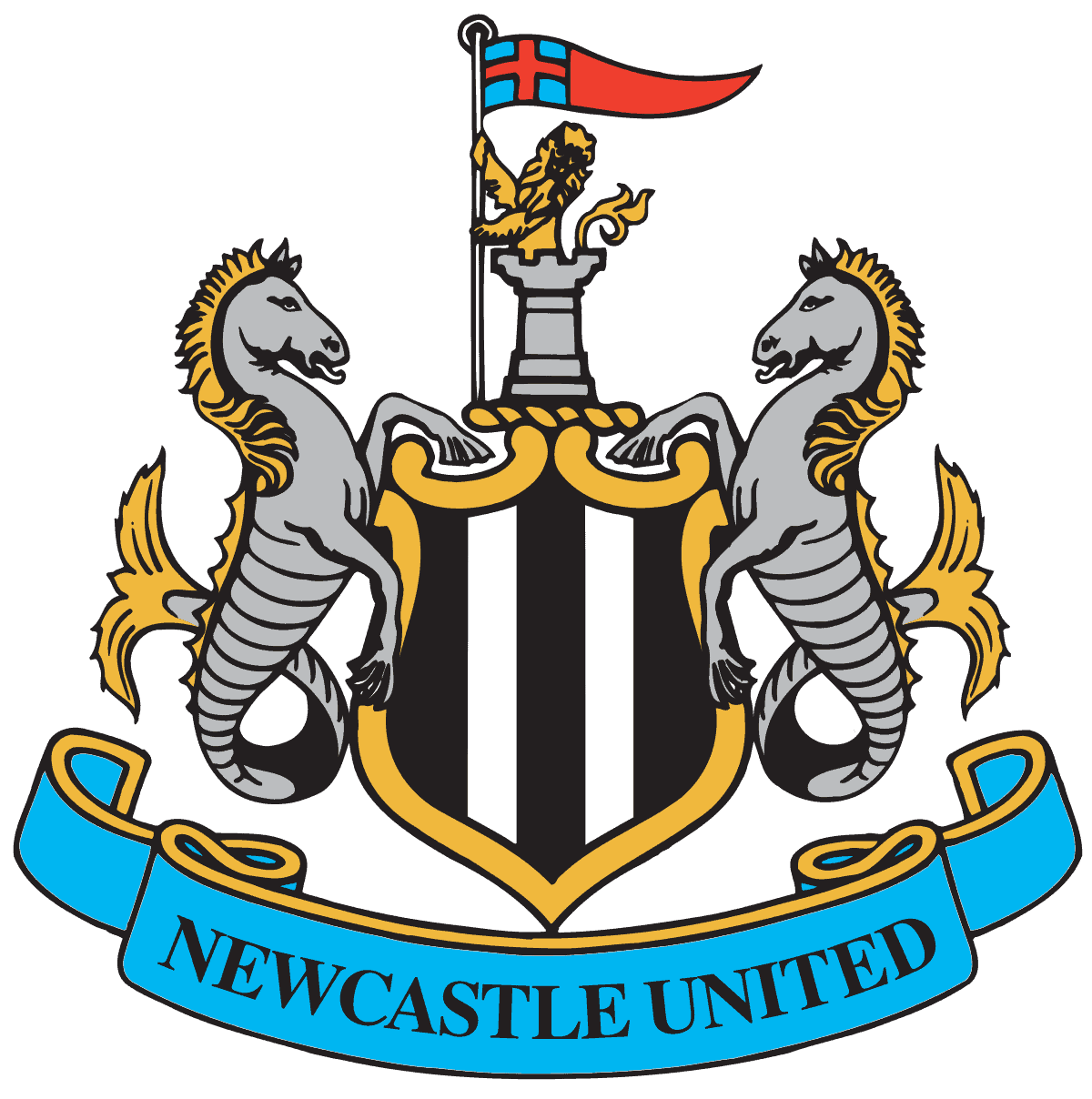 Discover Newcastle United FC Player Salaries