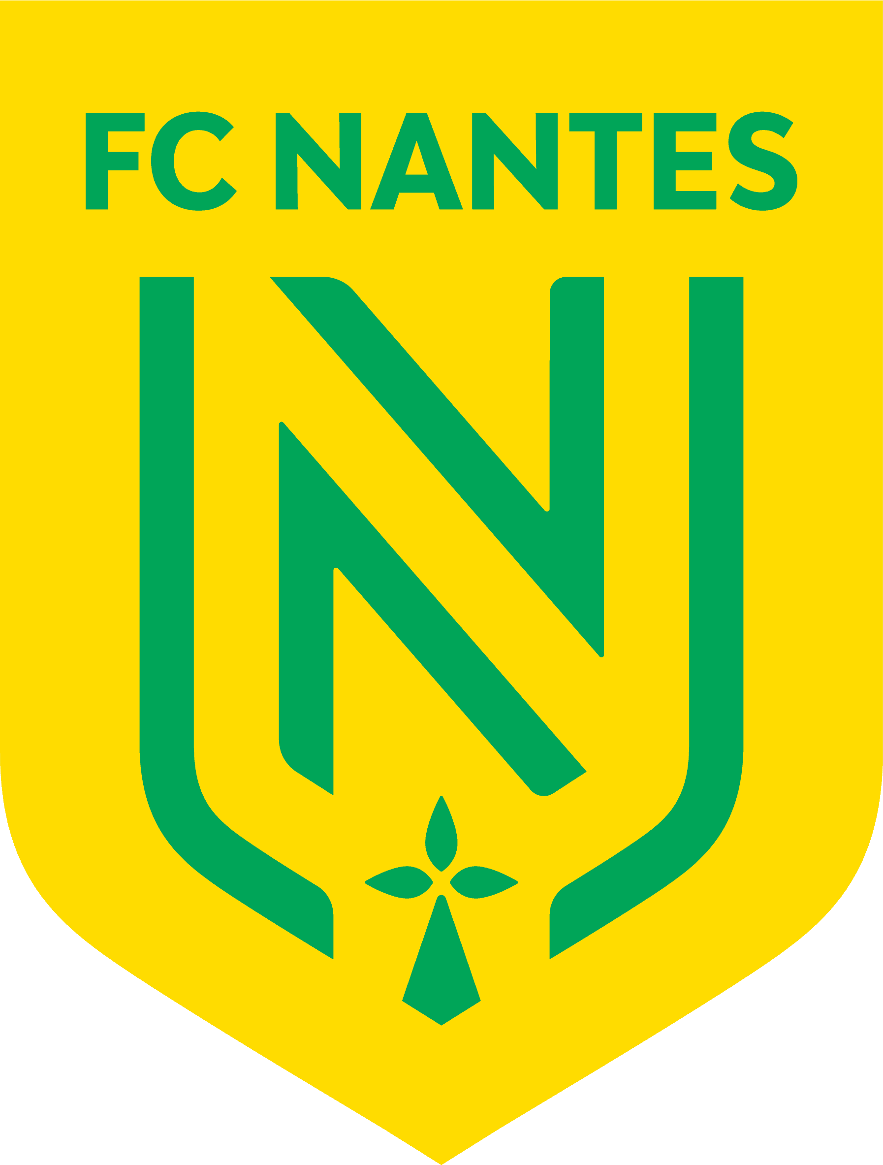 Detailed Breakdown: FC Nantes Player Salaries