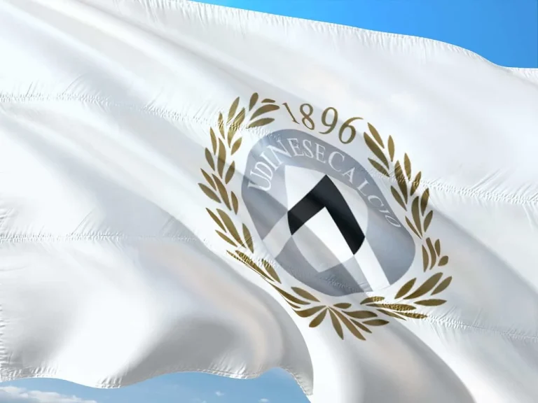 Udinese Calcio Player Salaries: A Comprehensive Guide