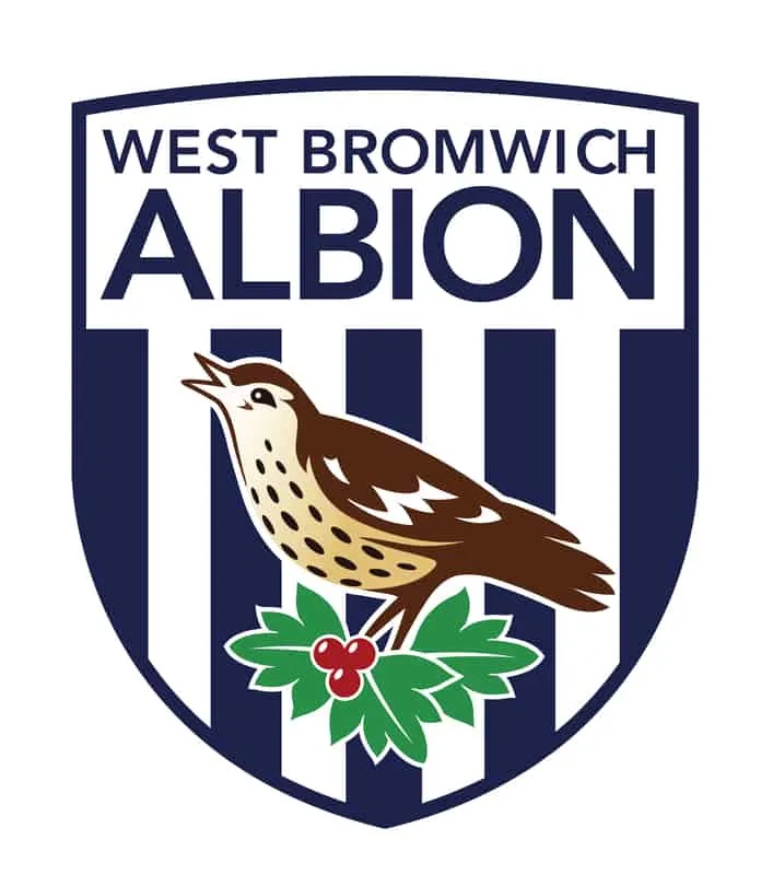 Unveiling West Bromwich Albion FC Player Salaries